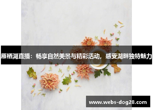 雁栖湖直播：畅享自然美景与精彩活动，感受湖畔独特魅力
